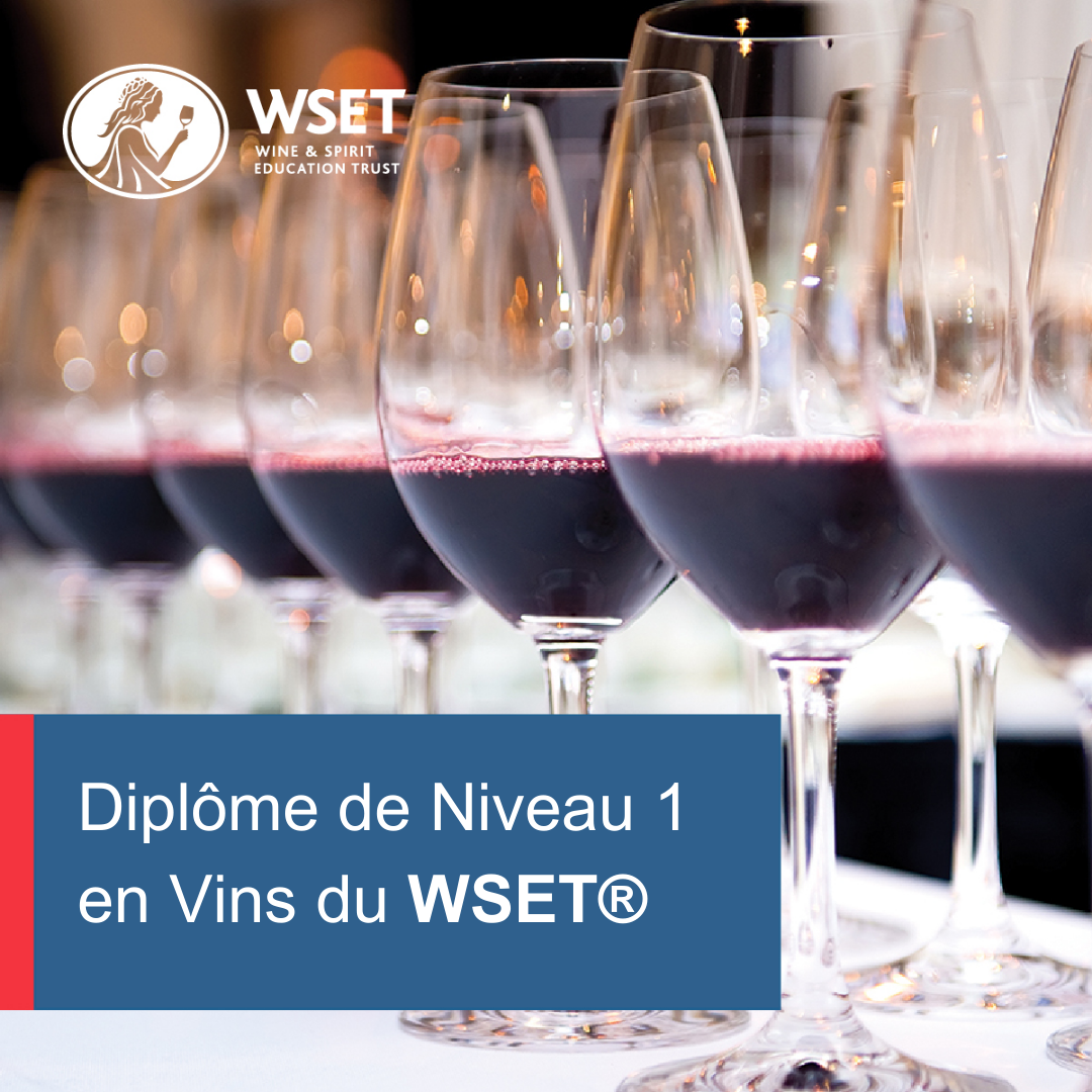 WSET-Niveau-1-Wine-Academy-Bernard-Massard