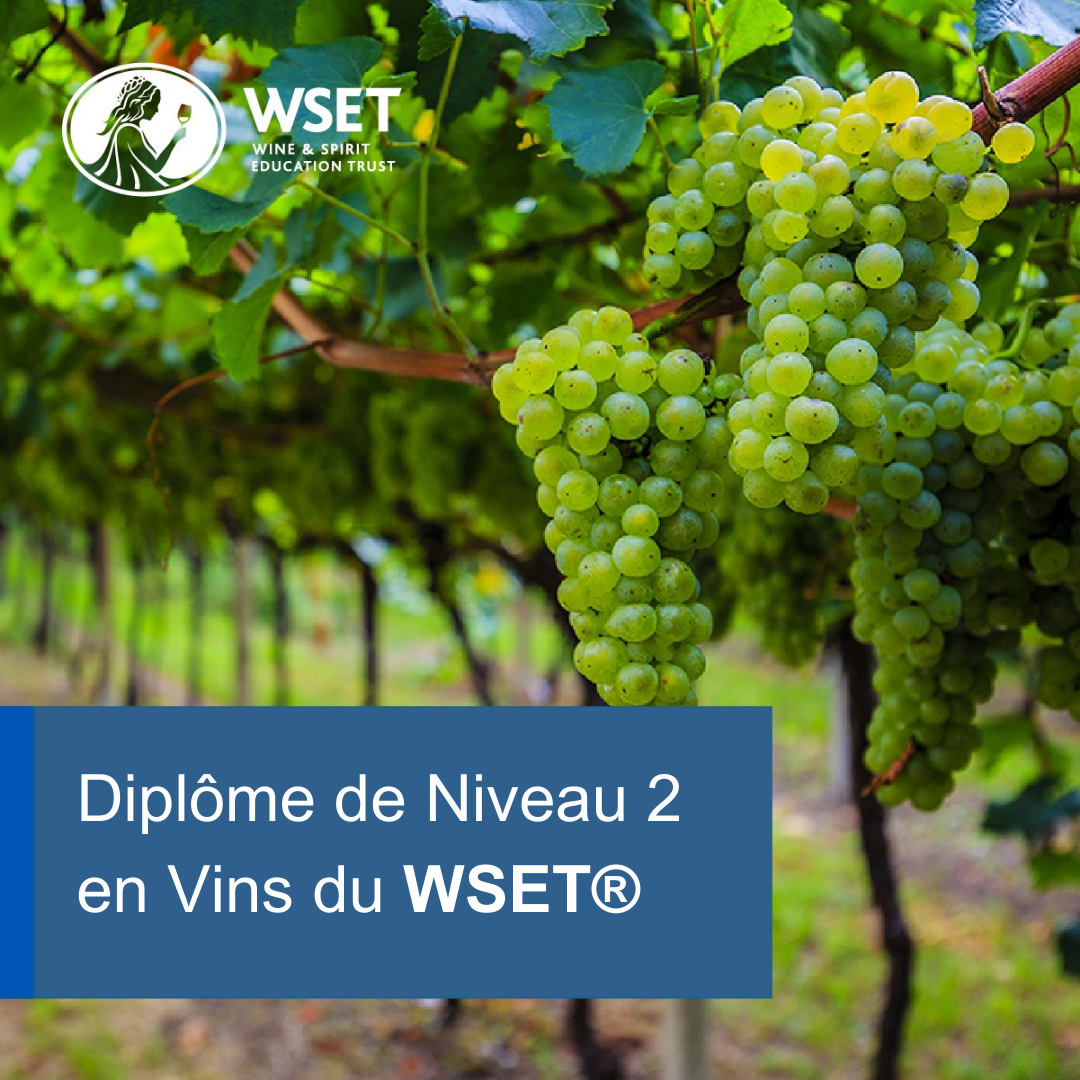 WSET-Niveau-2-Wine-Academy-Bernard-Massard