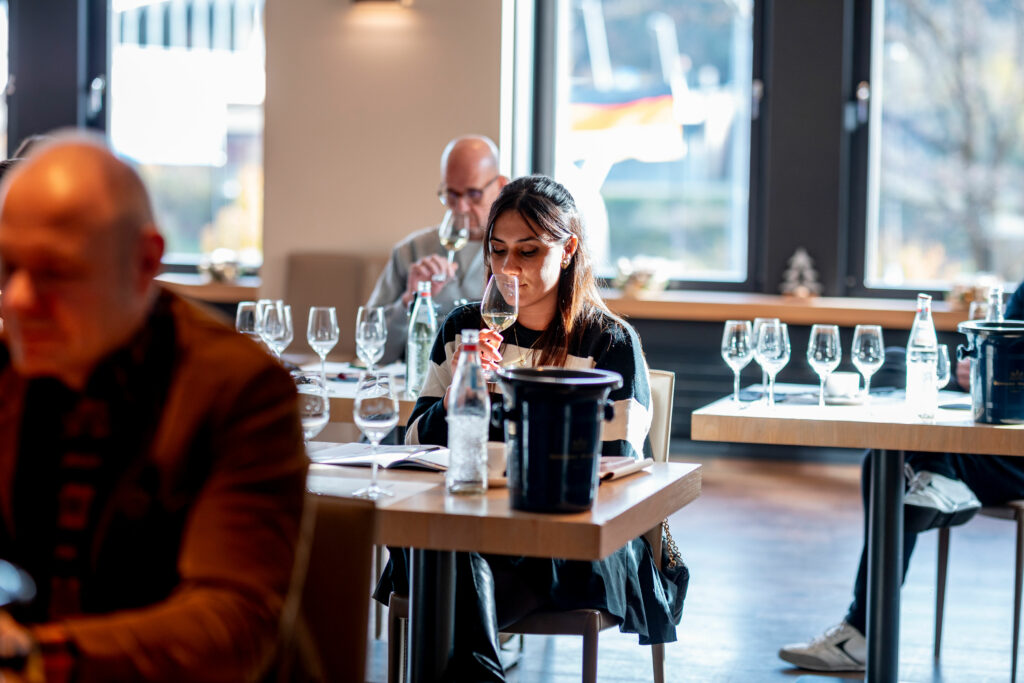 explication wset vin