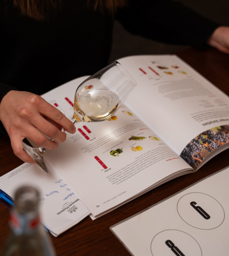 WSET en Vin - explication